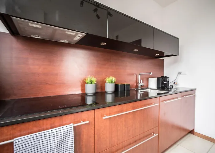 Old Town Heart Xx - Bruna & Pola Mokotowskie Apartment *